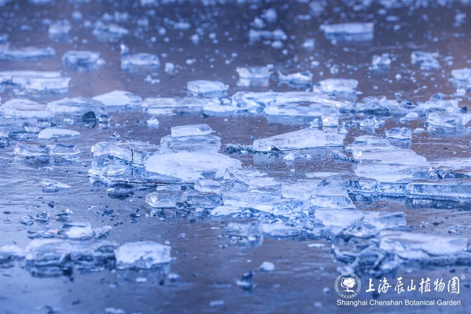 冰霜覆盖的美景