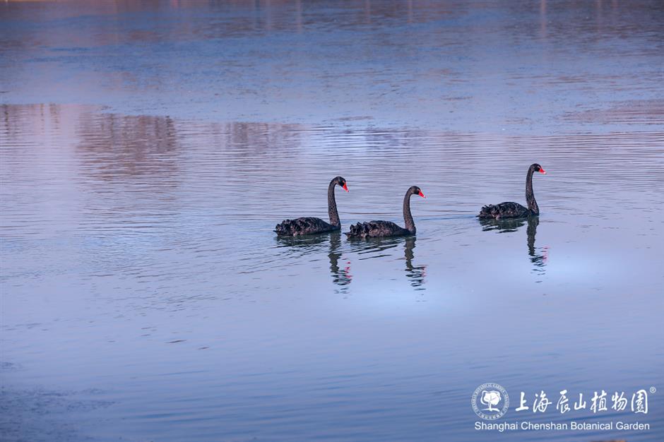 冰霜覆盖的美景