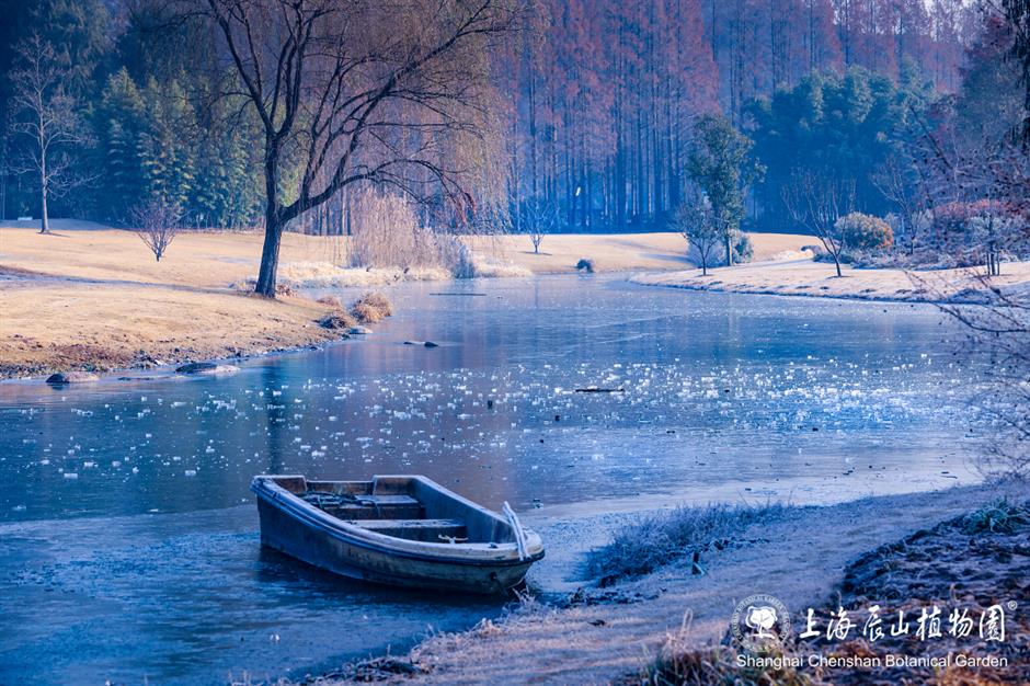 冰霜覆盖的美景