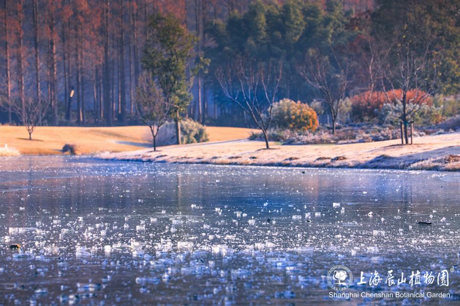 冰霜覆盖的美景
