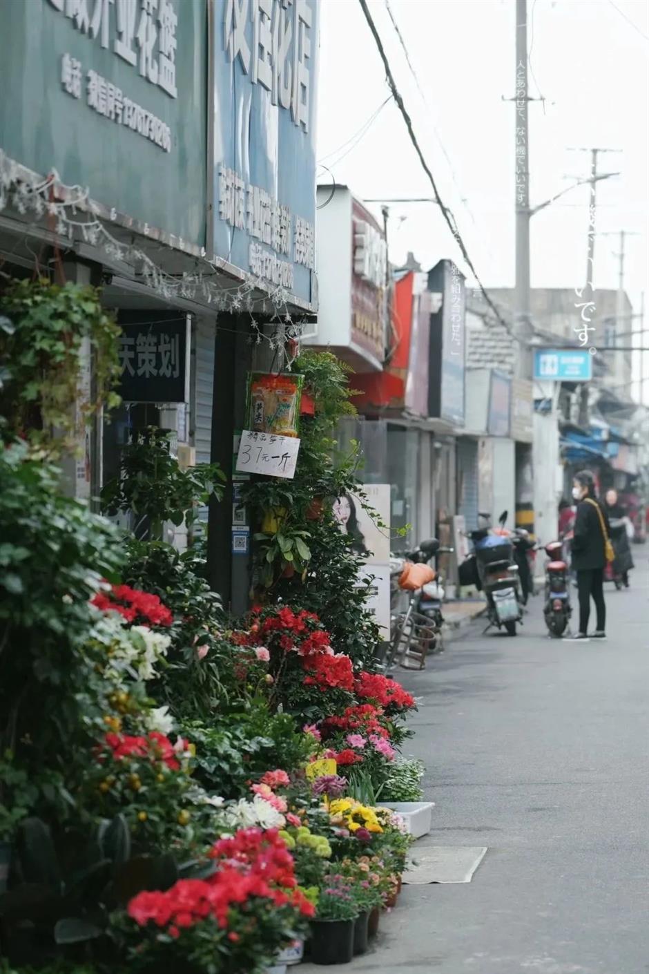 漫步老街!远看是风景,近看是生活