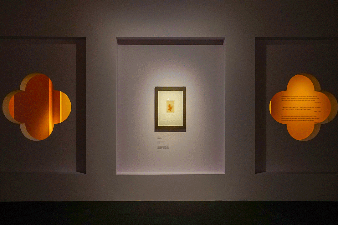 达芬奇、罗丹……多场珍品大师展亮相上海