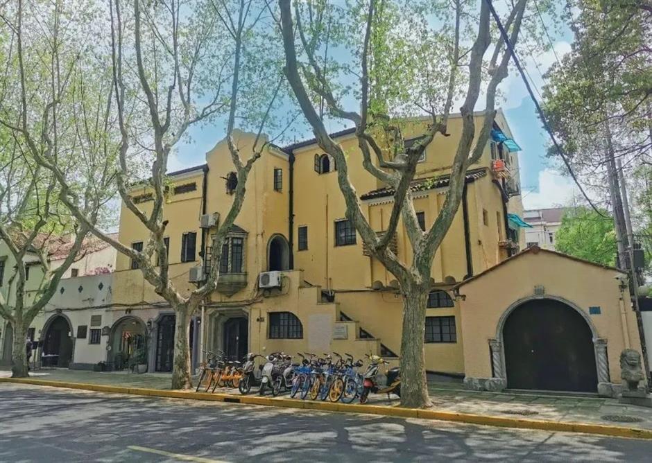 场馆重开!梧桐树下的文艺漫步之旅