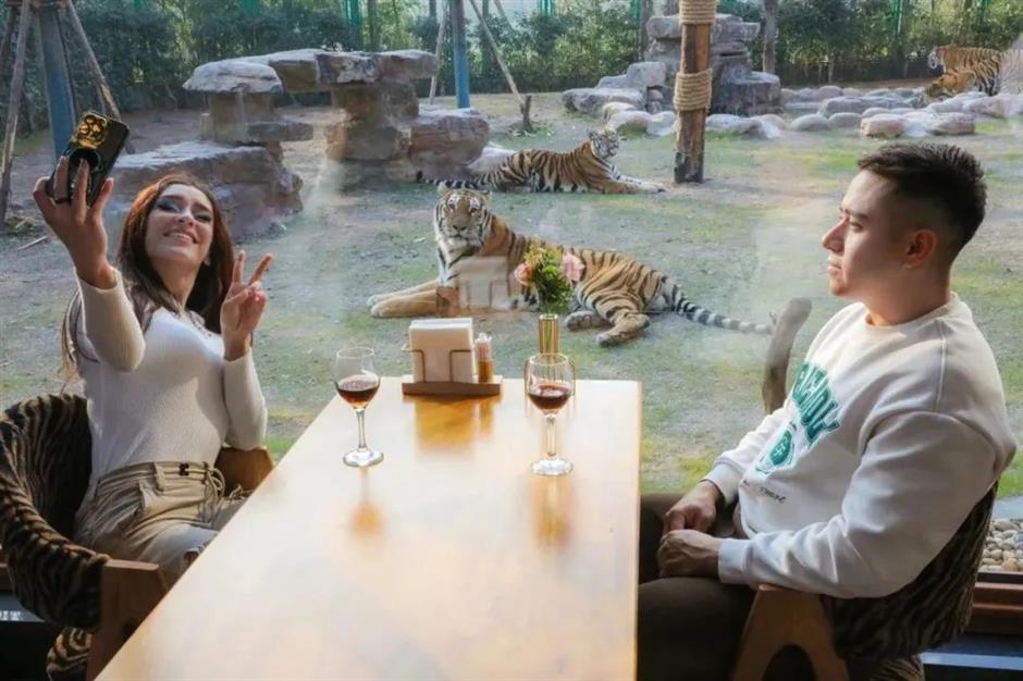 老虎餐厅明起正式营业,坐标在此→