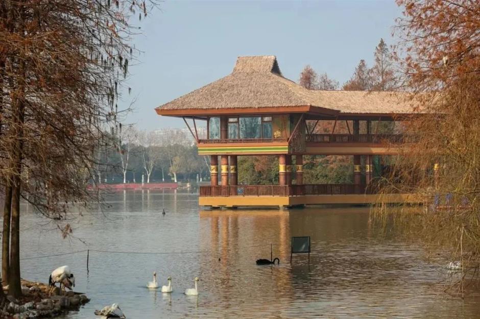 老虎餐厅明起正式营业,坐标在此→