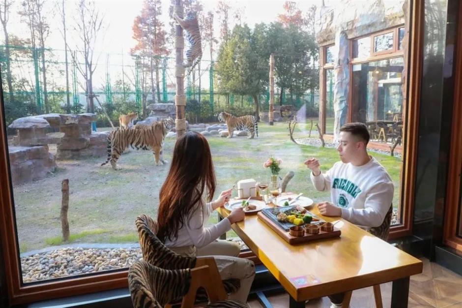 老虎餐厅明起正式营业,坐标在此→