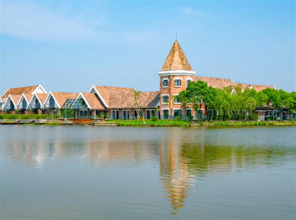 花式打卡沪郊如畫美景