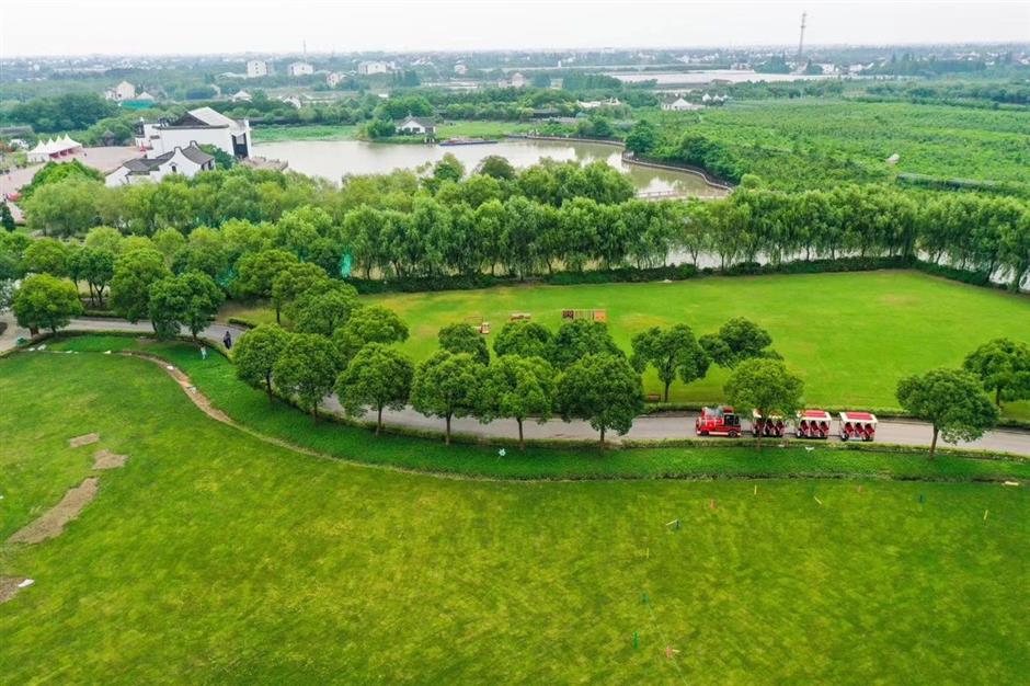 花式打卡沪郊如畫美景