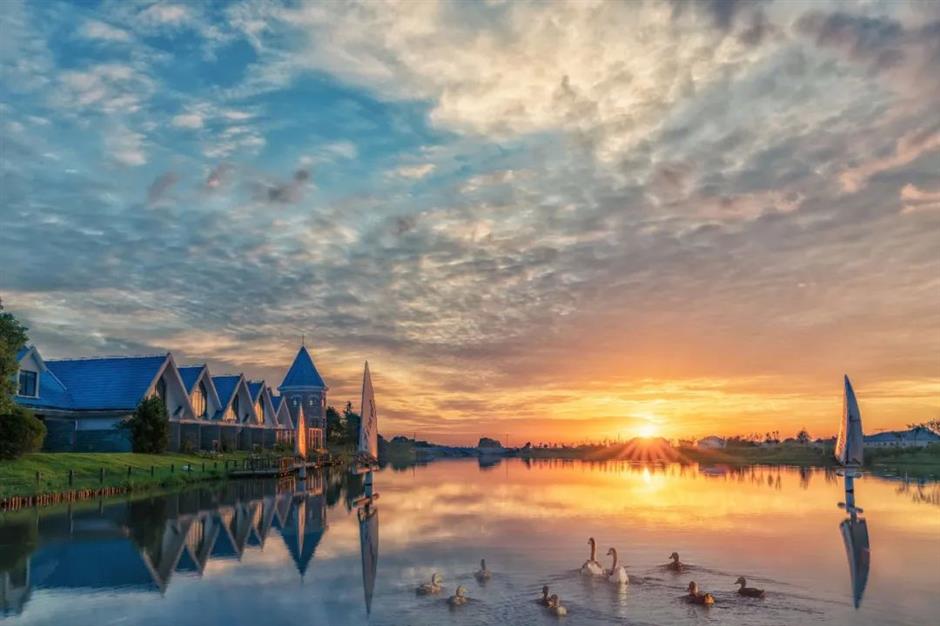 花式打卡沪郊如畫美景