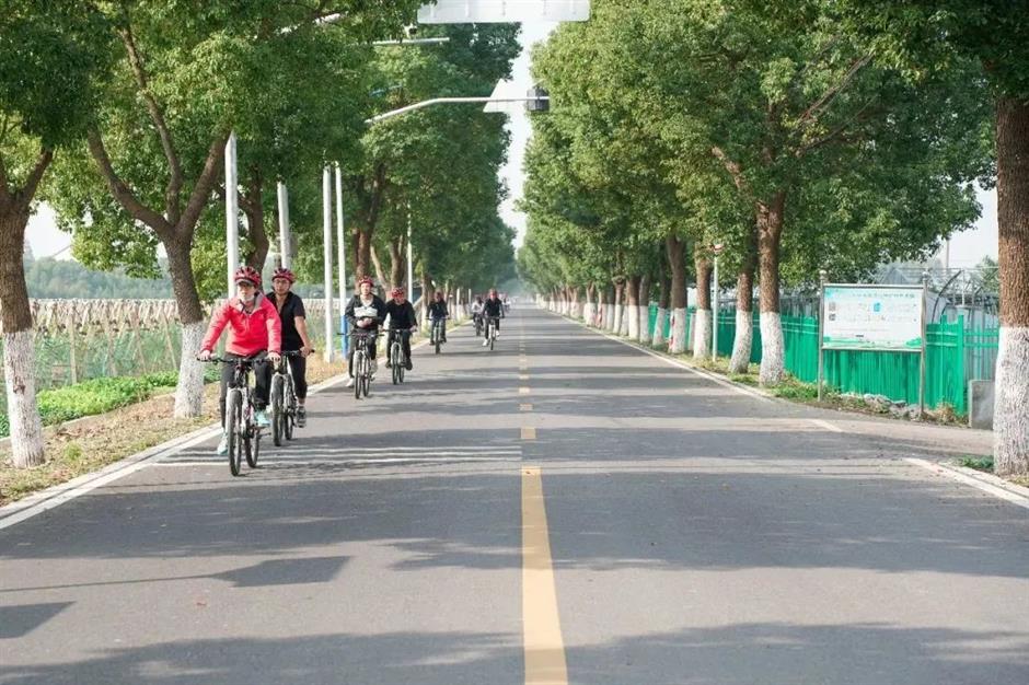 花式打卡沪郊如畫美景