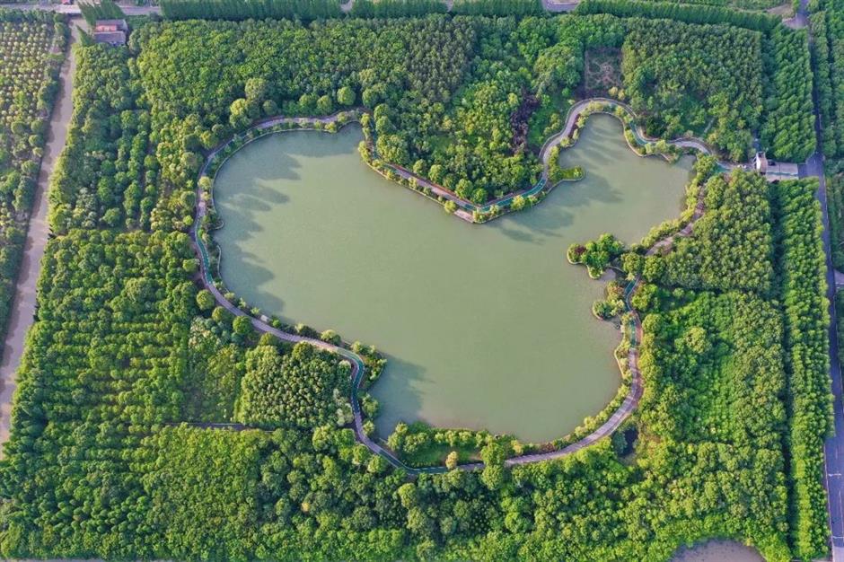 花式打卡沪郊如畫美景