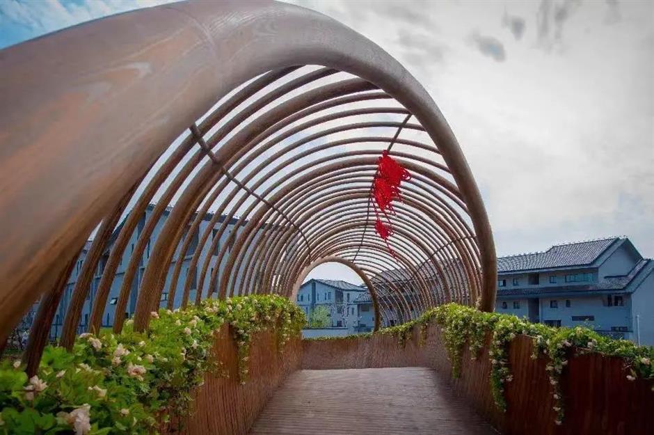 花式打卡沪郊如畫美景