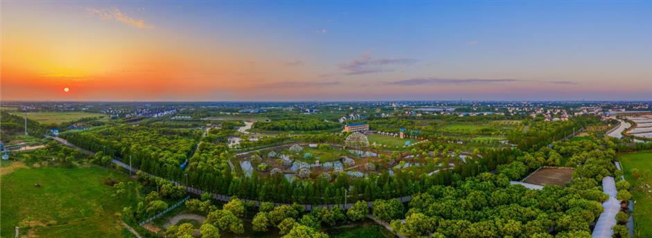 花式打卡沪郊如畫美景