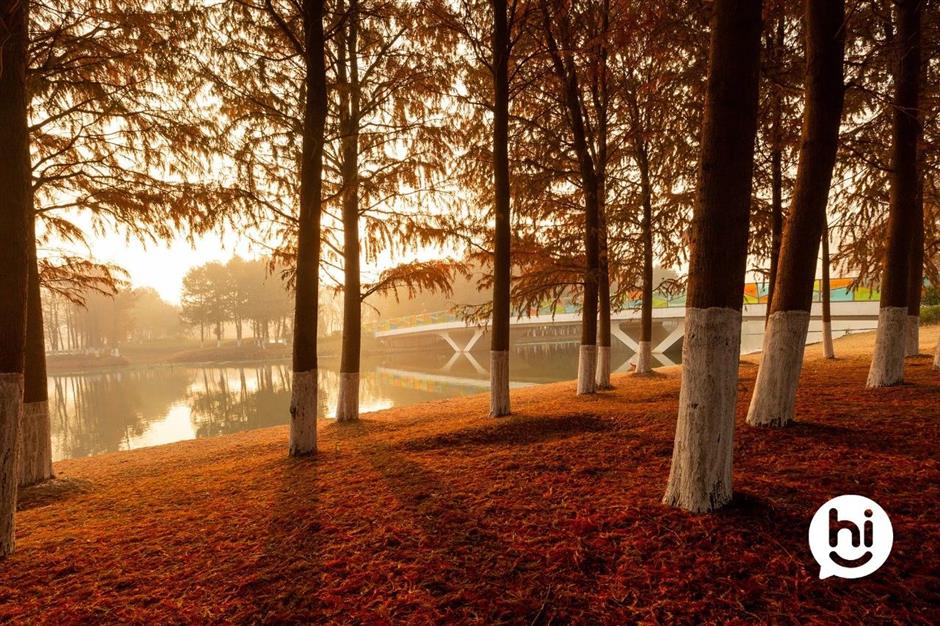 解鎖冬日夢幻!抓住最後一波打卡機會