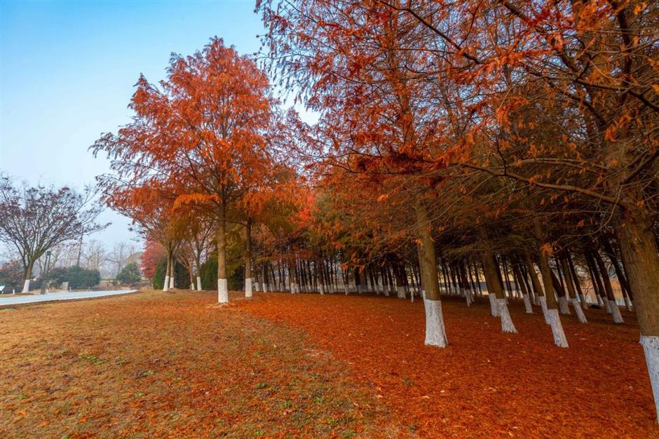 解鎖冬日夢幻!抓住最後一波打卡機會