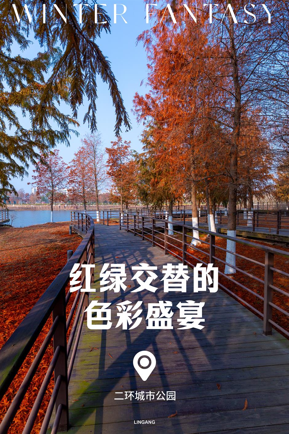 解鎖冬日夢幻!抓住最後一波打卡機會