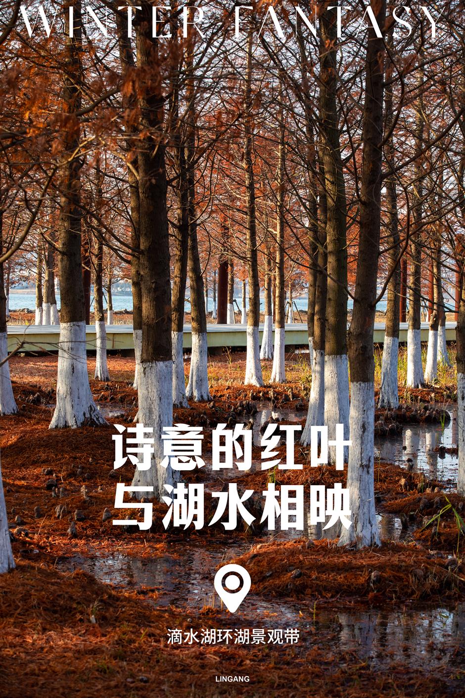 解鎖冬日夢幻!抓住最後一波打卡機會