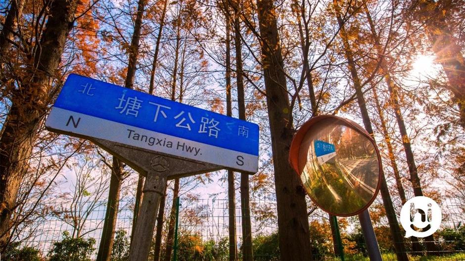 解鎖冬日夢幻!抓住最後一波打卡機會