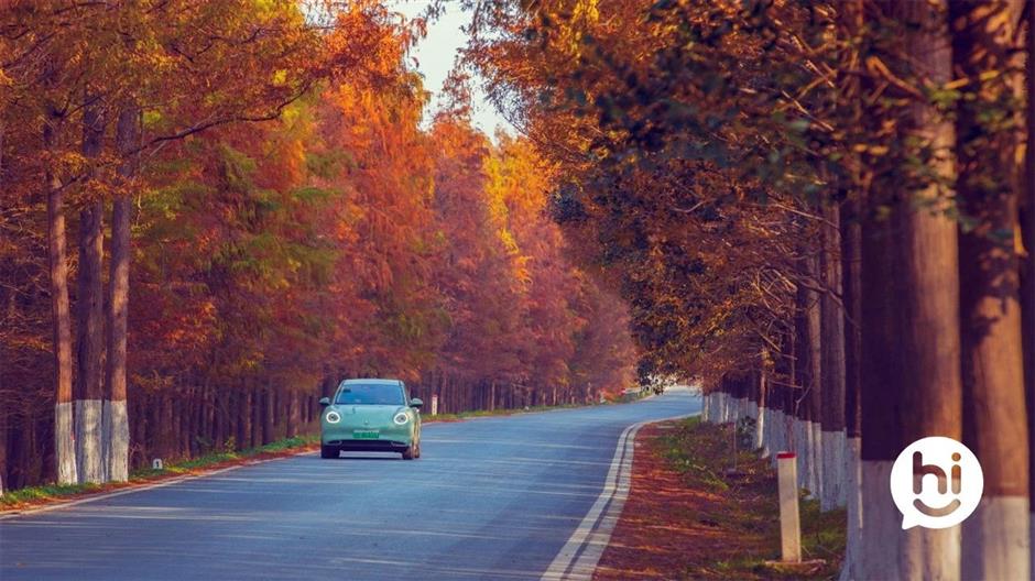 解鎖冬日夢幻!抓住最後一波打卡機會