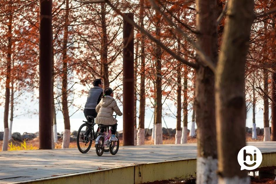 解鎖冬日夢幻!抓住最後一波打卡機會