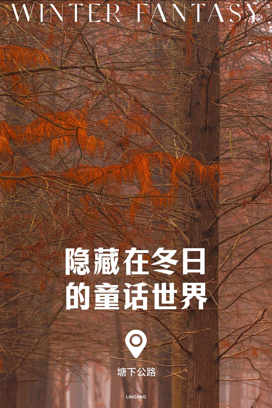 解鎖冬日夢幻!抓住最後一波打卡機會