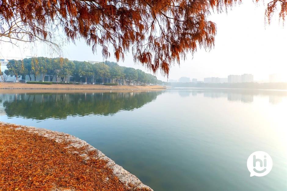 解鎖冬日夢幻!抓住最後一波打卡機會