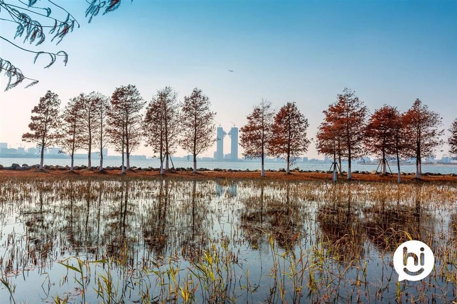 解鎖冬日夢幻!抓住最後一波打卡機會