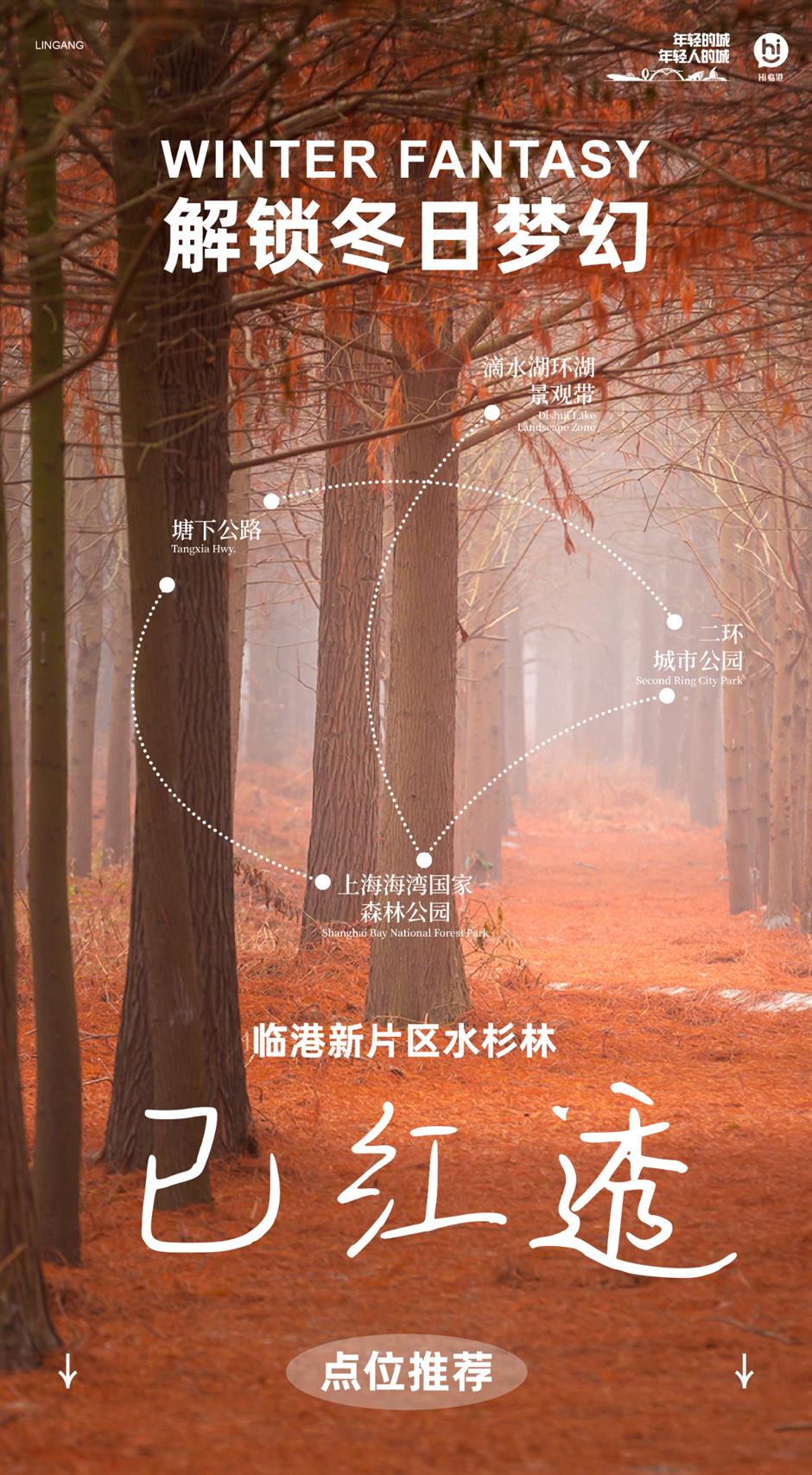 解鎖冬日夢幻!抓住最後一波打卡機會