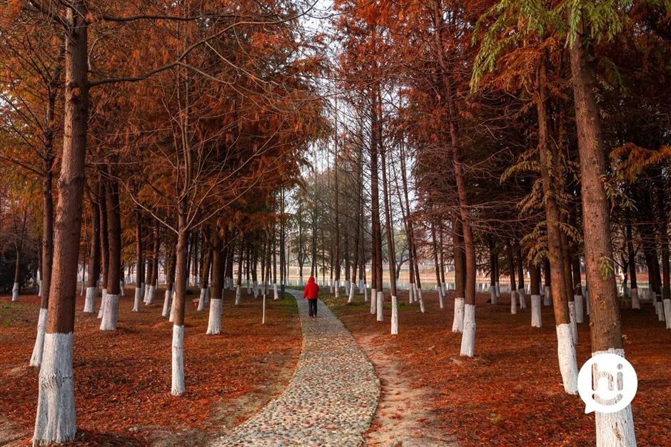 解鎖冬日夢幻!抓住最後一波打卡機會