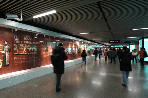南京东路地铁站,有一枝