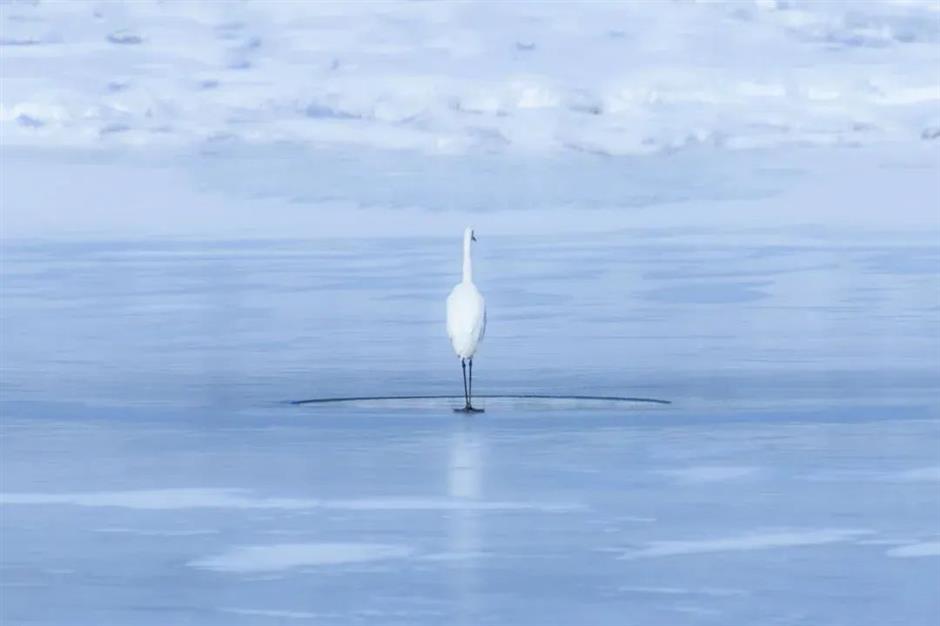 节气之美 | 大寒雪未消,闭户不能出