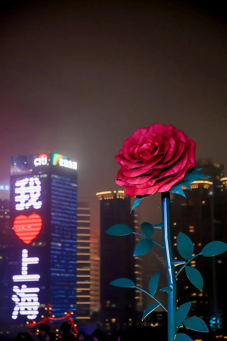 大上海的大惊喜,来打卡吧