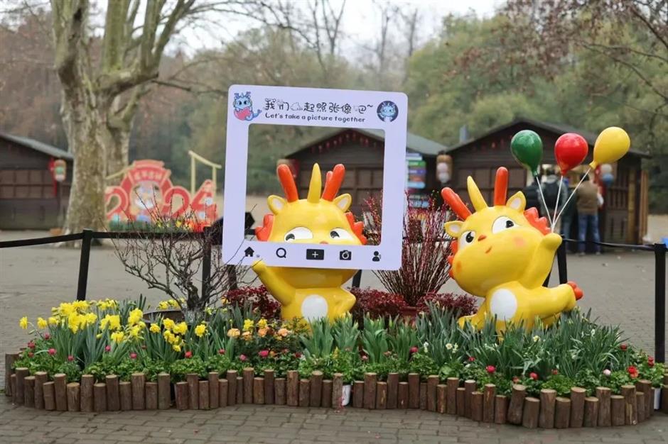 免費賞花!新春水仙花展如約而至