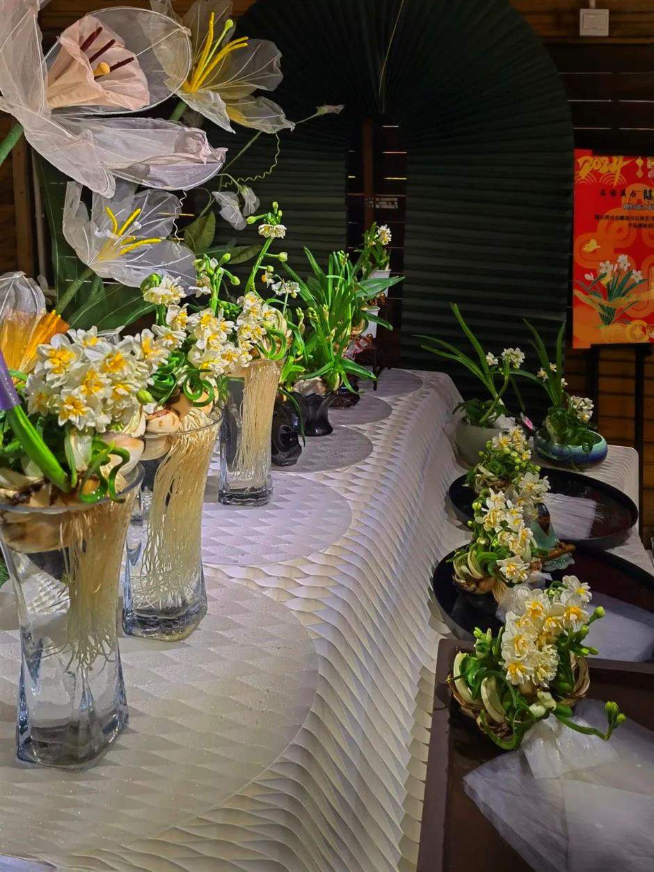 免費賞花!新春水仙花展如約而至