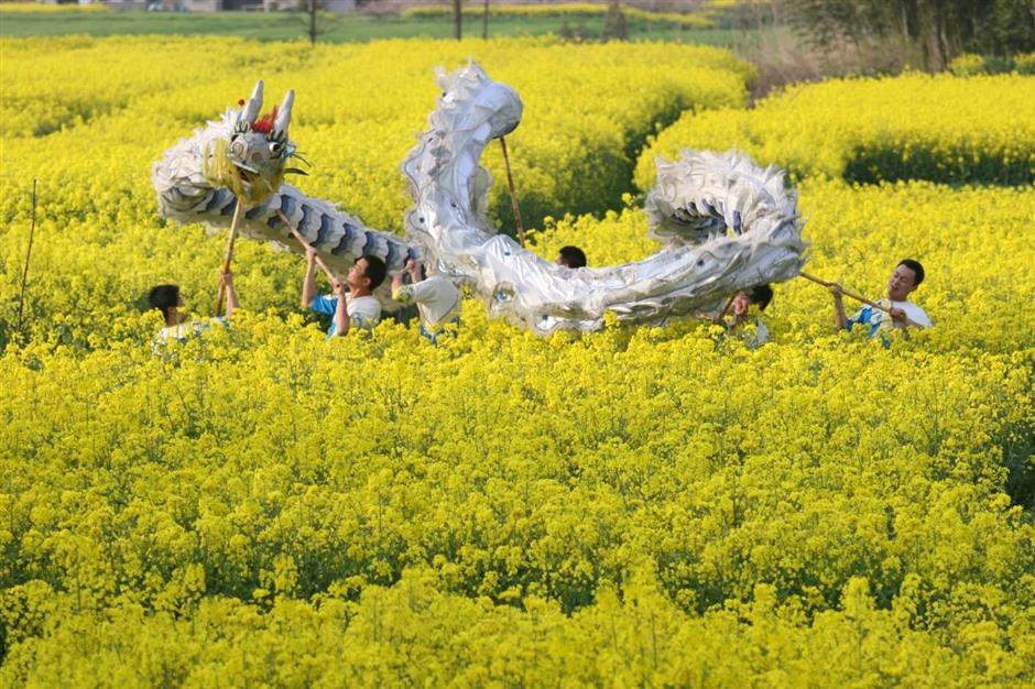 乐游上海过大年 | 在沪郊来场沉浸式寻