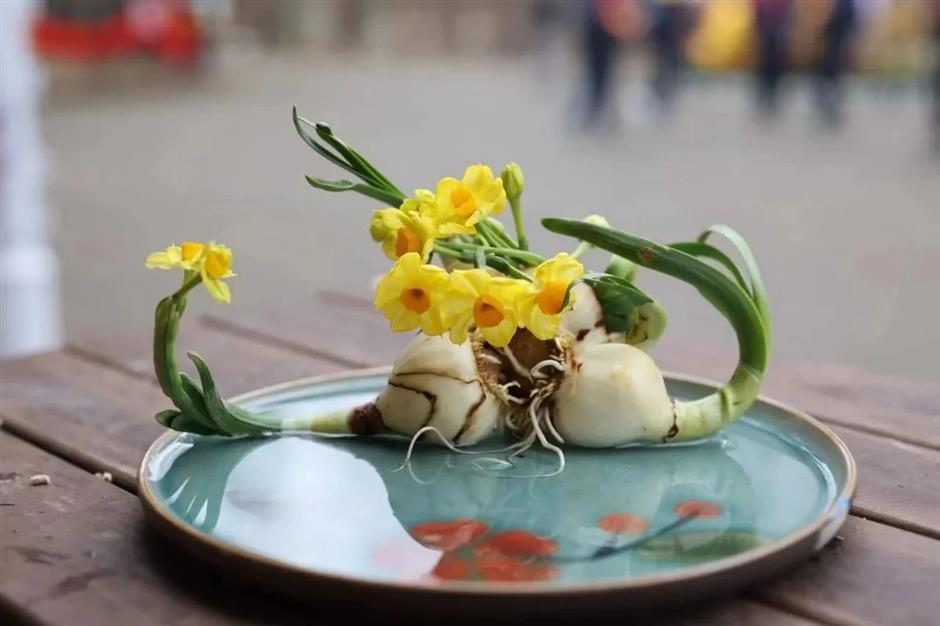 免費賞花!新春水仙花展如約而至