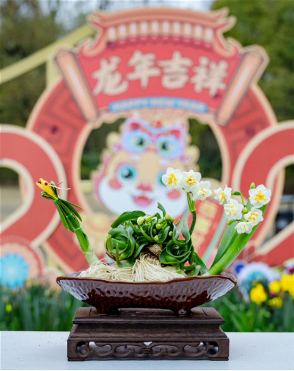 免費賞花!新春水仙花展如約而至