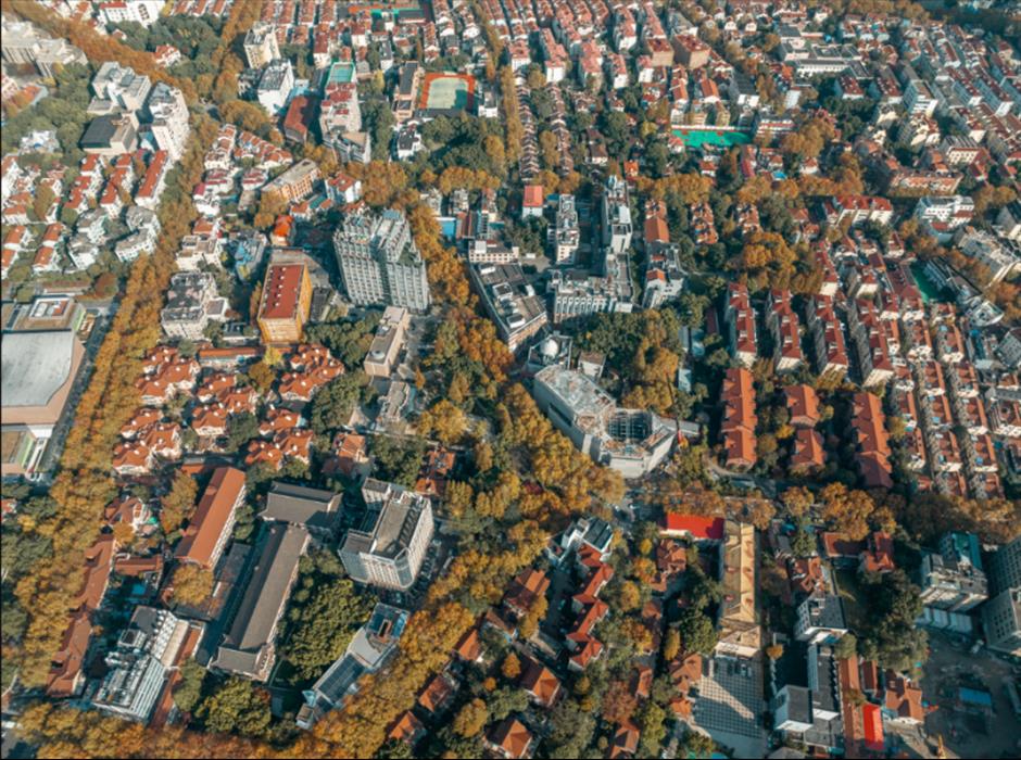 来打卡魔都文物的