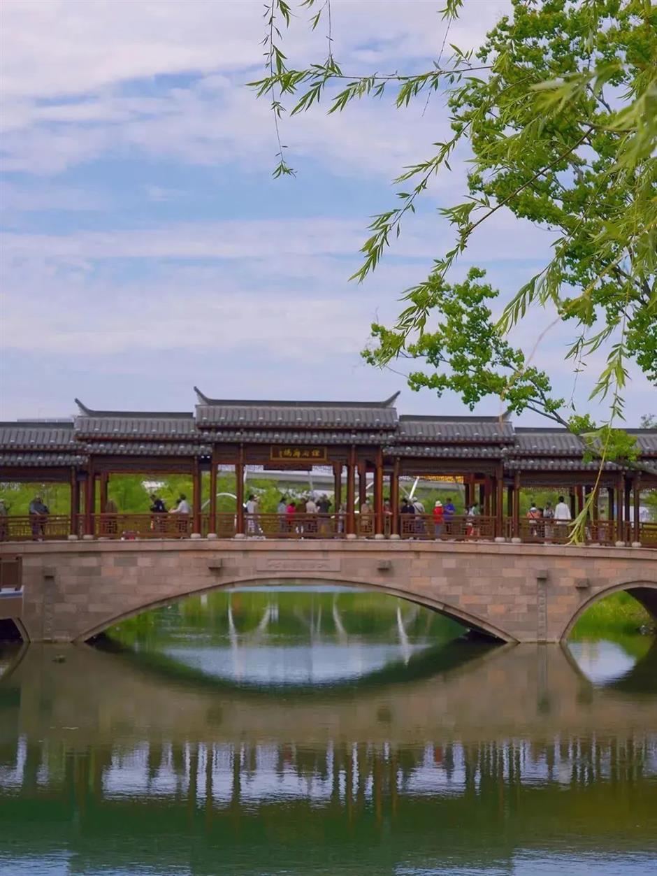 樂遊上海過大年 | 考古上海,聊聊那些龍的傳說?