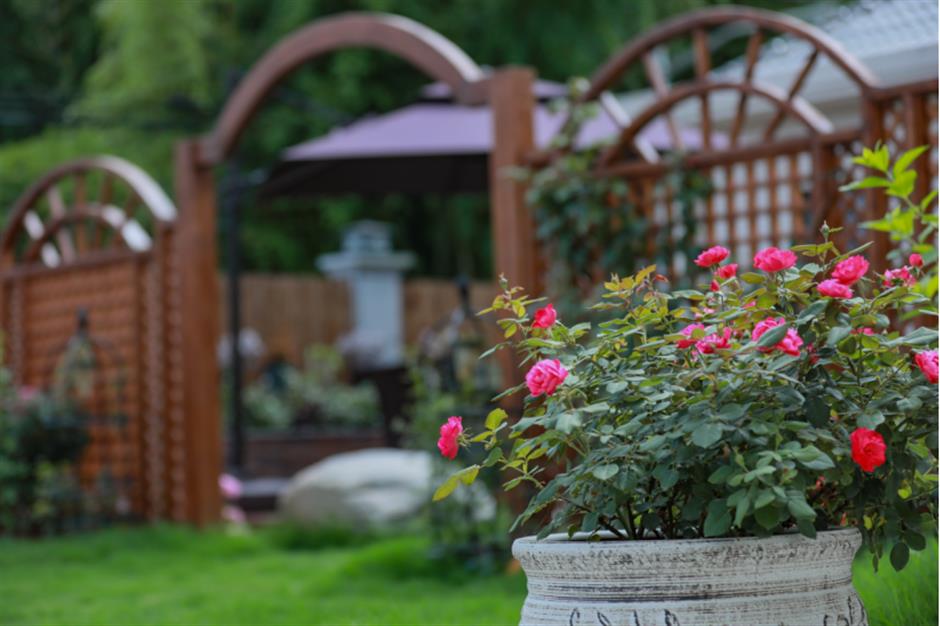 乐游上海过大年 | 申城精品乡村民宿邀请