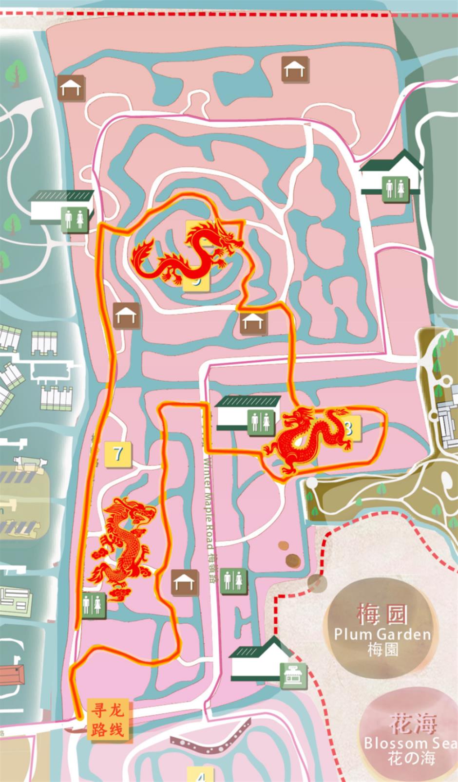 30000多株梅树即将迎来花期,走,沪郊赏梅去