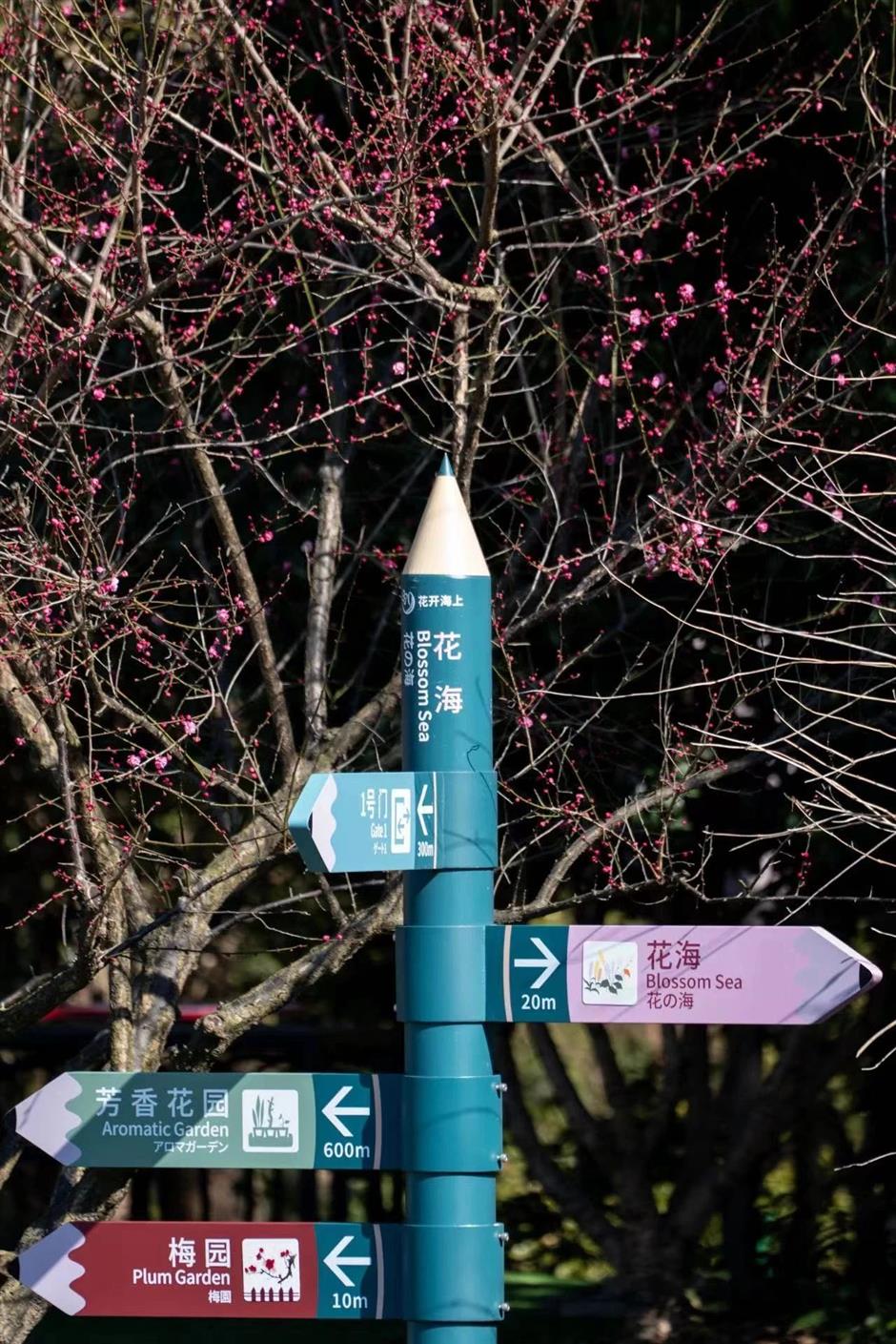 30000多株梅树即将迎来花期,走,沪郊赏梅去