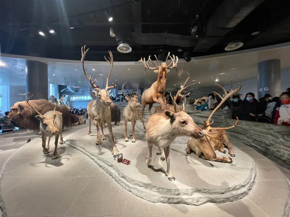 全国百强榜单!上海5家入选→