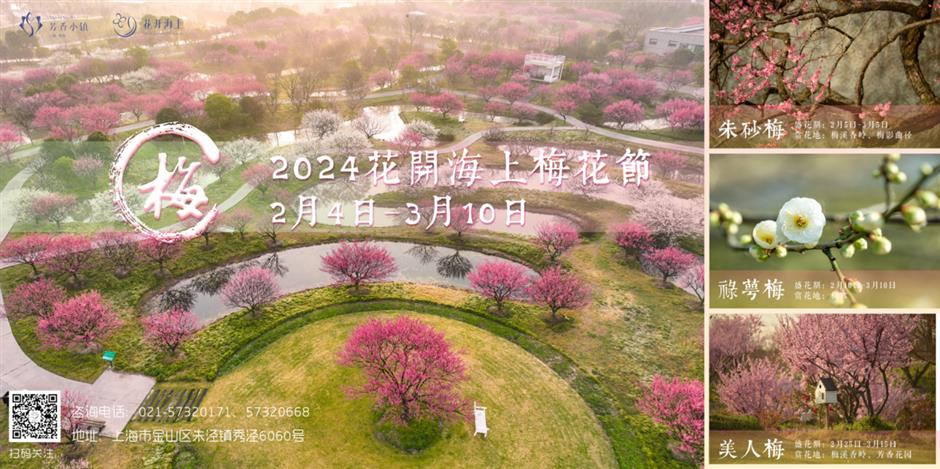 30000多株梅树即将迎来花期,走,沪郊赏梅去