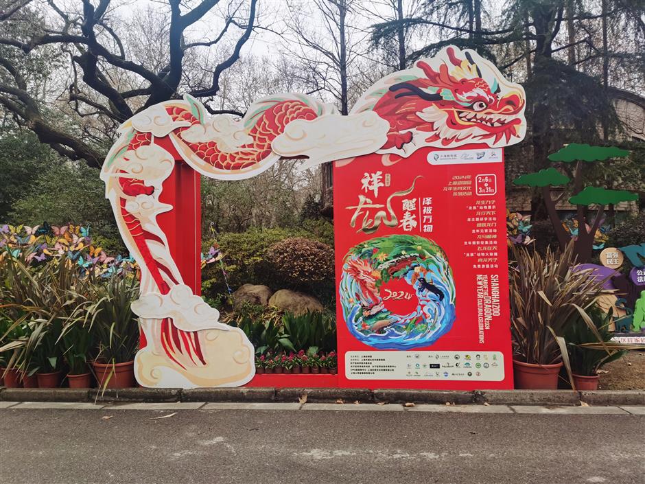 Shanghai Zoo welcomes Year of the Dragon with fun activities