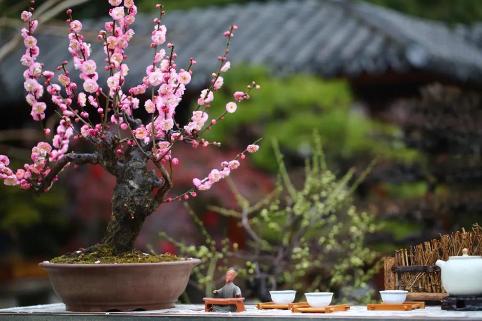 尋龍探春,賞燈遊園,就在首座非遺主題公園 | 樂遊上海過大年