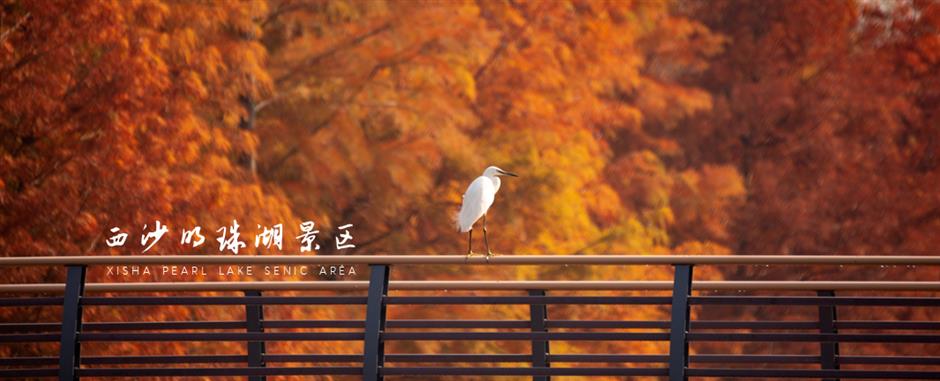 喜报!西沙明珠湖景区成功获评国家5A级旅游景区
