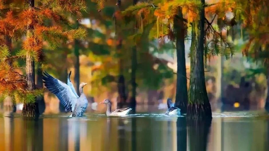 喜报!西沙明珠湖景区成功获评国家5A级旅游景区