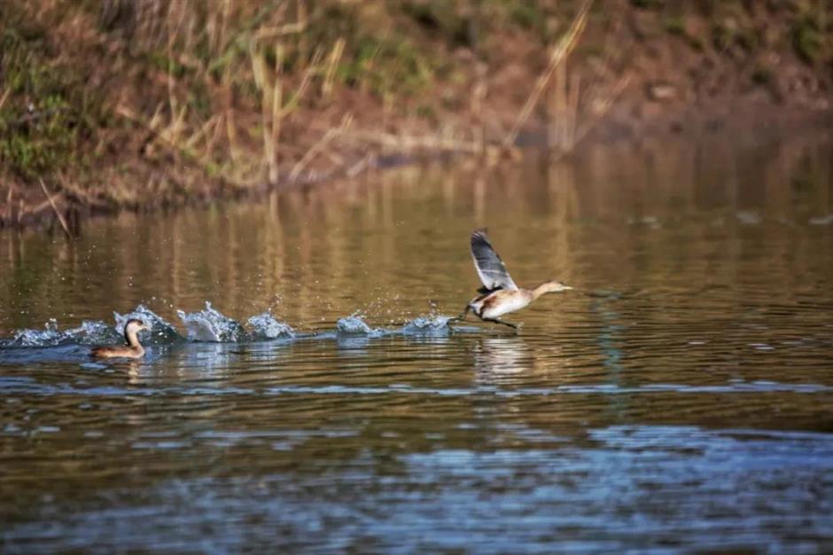 喜报!西沙明珠湖景区成功获评国家5A级旅游景区
