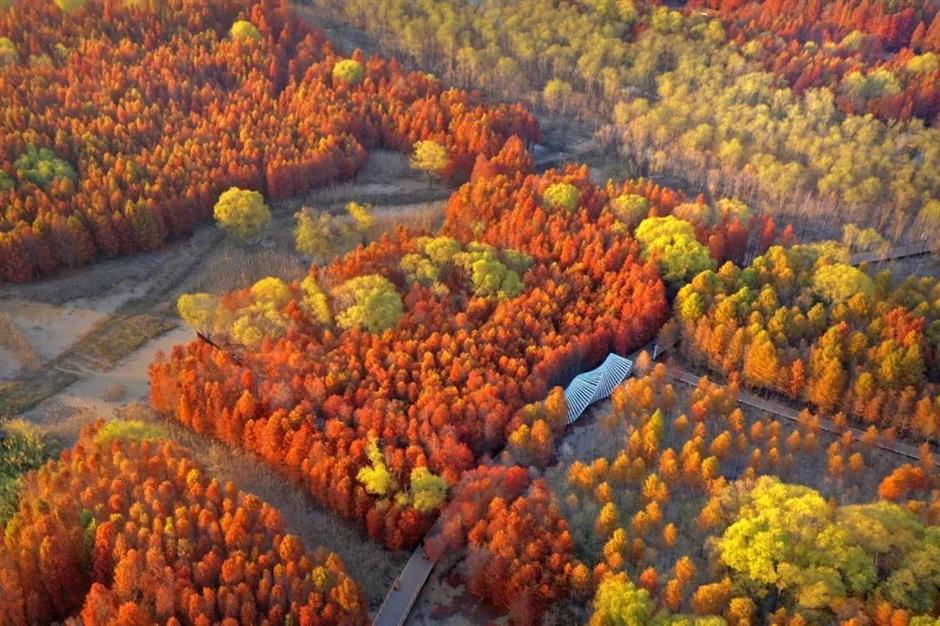 喜报!西沙明珠湖景区成功获评国家5A级旅游景区